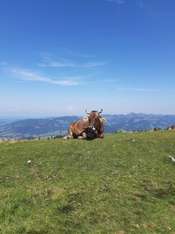 Haus Berghof Panzió Schröcken Kültér fotó