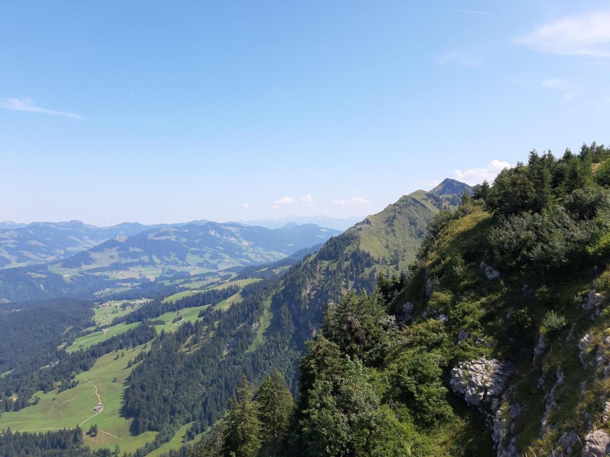 Haus Berghof Panzió Schröcken Kültér fotó